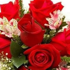 Meet your Posher, Cruz